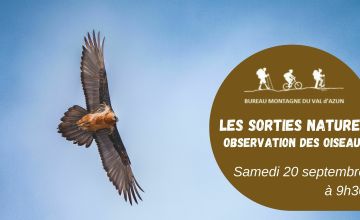 Sortie Nature - Observation des oiseaux migrateurs