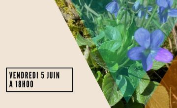 Vendredi 5 juin à 18h: Balade botanique, plantes comestibles et médicinales  ­	