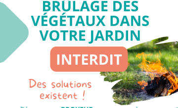 Brûlage des végétaux dans votre jardin