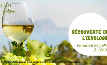 Découverte de l'œnologie