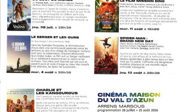 Programmation cinéma de la Maison du Val d'AZUN de 28 Juillet au 25 Août 2026