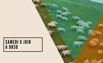 Samedi 6 juin à 9h30: Espace Game, Où sont passées tes brebis ?