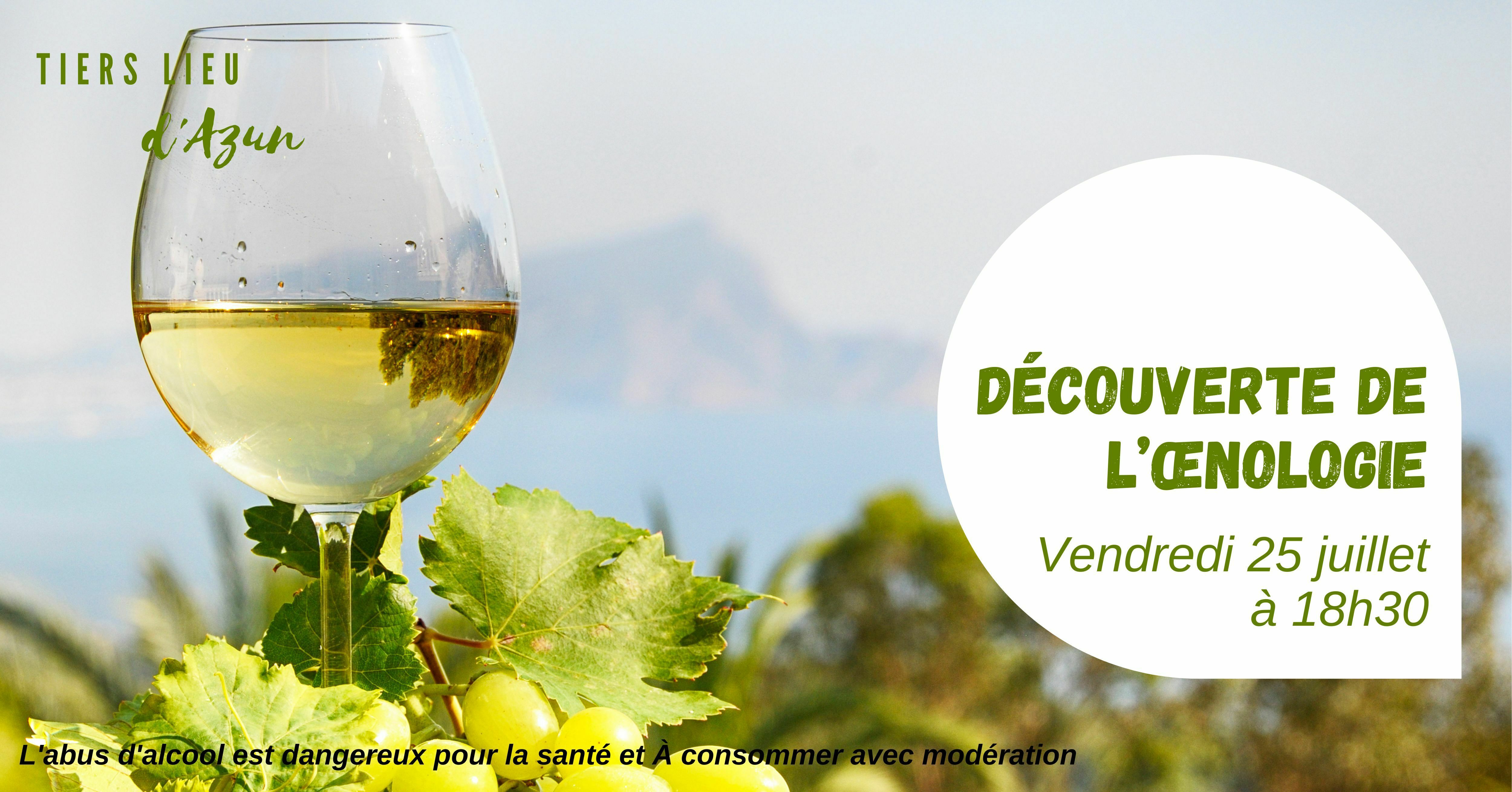 Découverte de loenologie