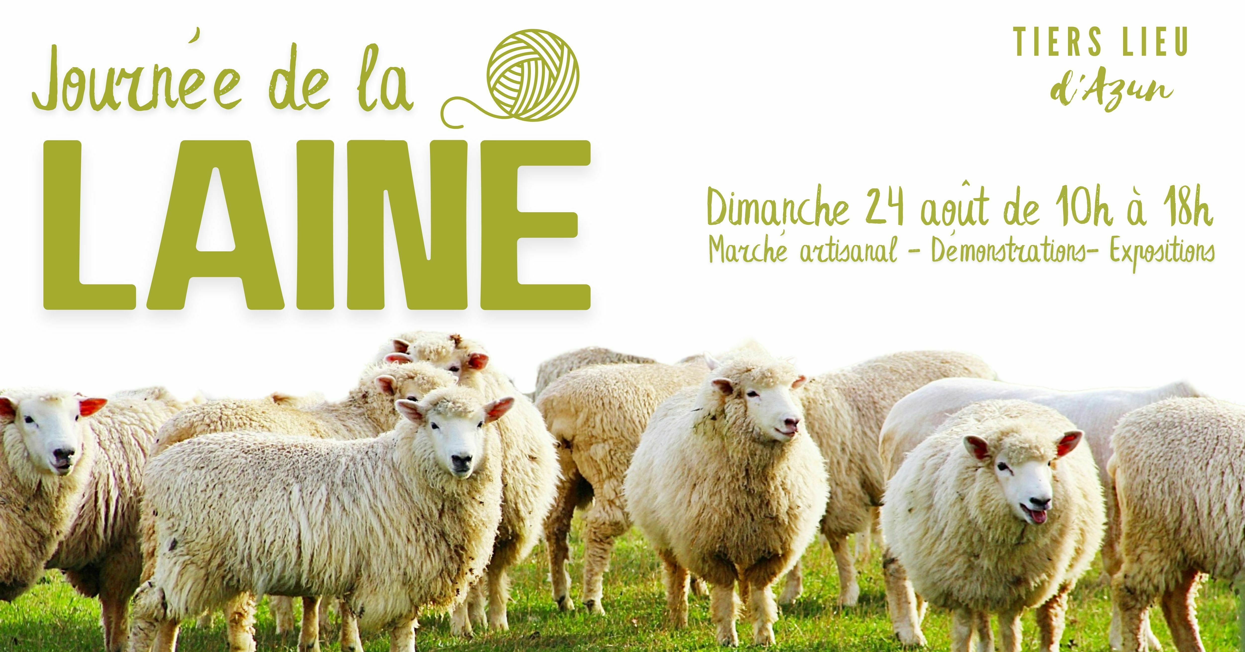 Journée laine