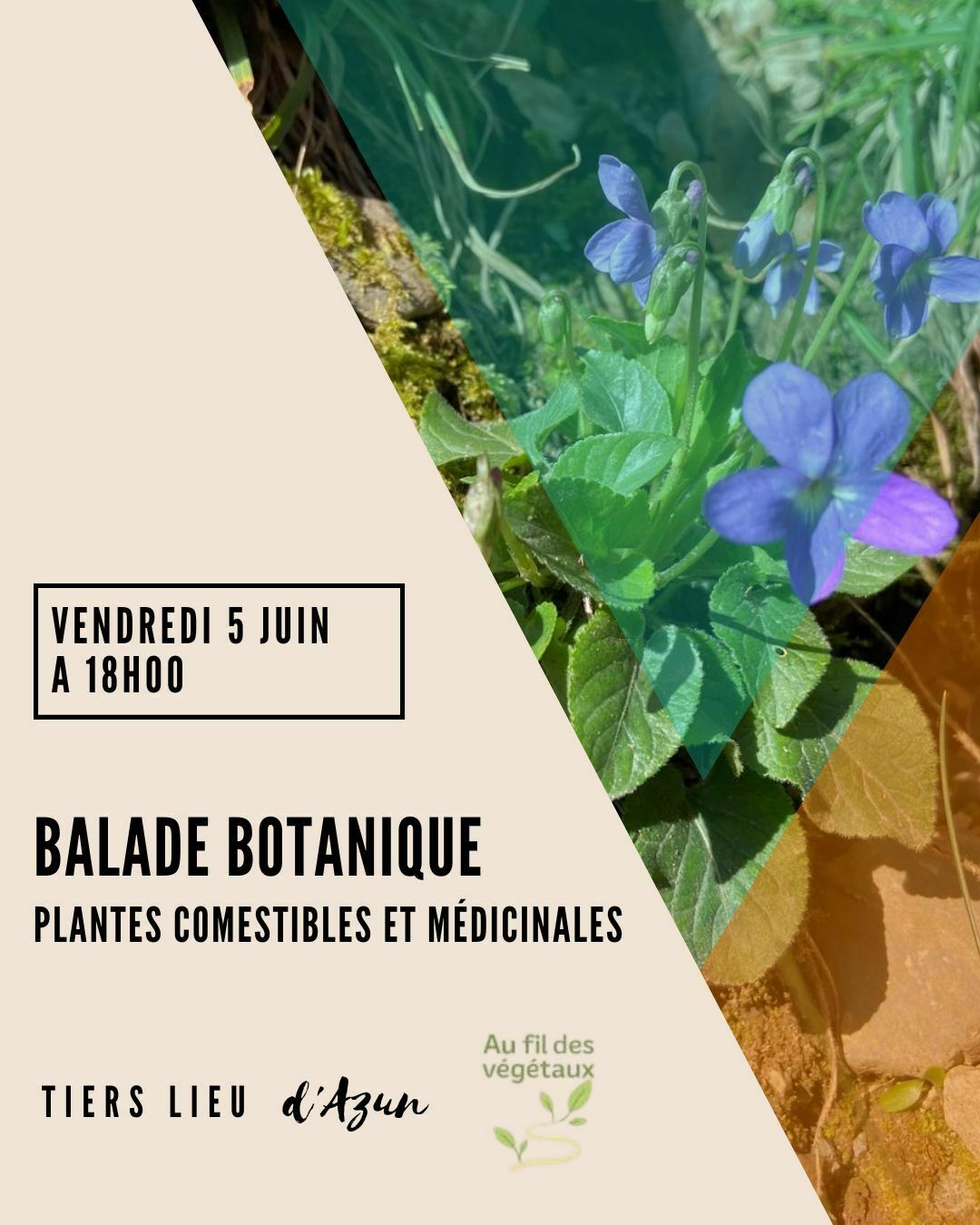 balade botanique