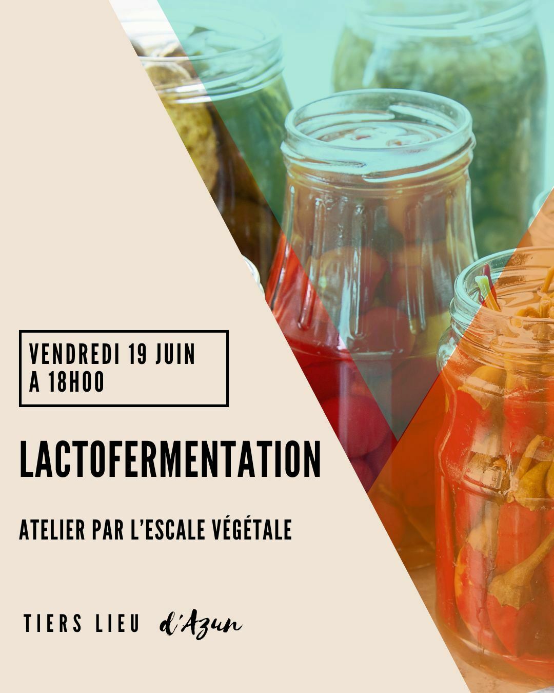 lactofermentation